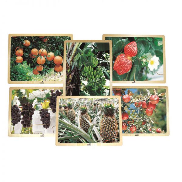 MOJO EDUCATION GROWING UP GREEN 6ST FRUIT HEALTHY EATING PUZZLES MJ-345202