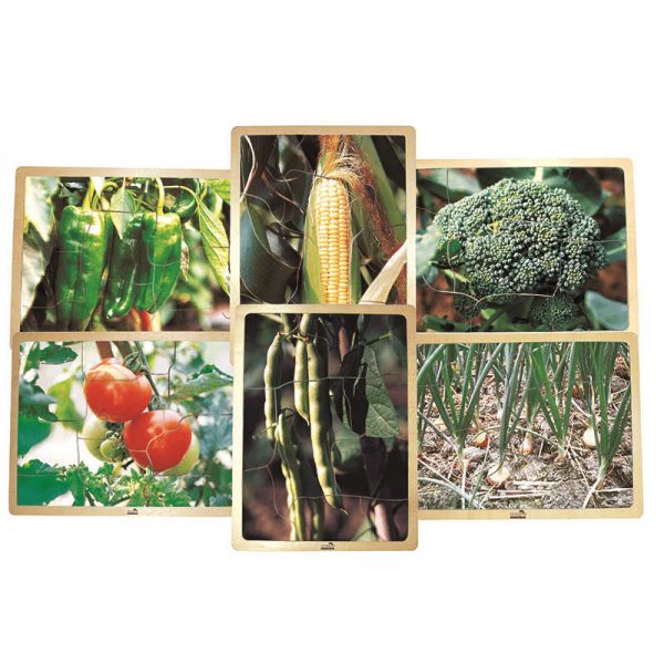 MOJO EDUCATION GROWING UP GREEN 6ST VEGETABLES HEALTHY EATING PUZZLES MJ-345201