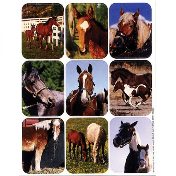 EUREKA HORSES REAL PHOTOS GIANT STICKERS EU-651450