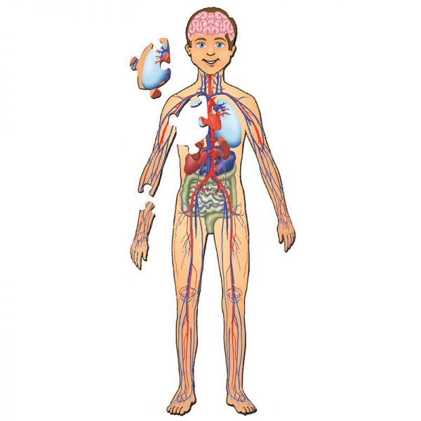 PLATAPILLA USA INC HUMAN BODY WITH ORGANS FLOOR PUZZLE PPAFL076