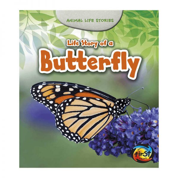 CAPSTONE / COUGHLAN PUB LIFE STORY OF A BUTTERFLY HE-9781484604922
