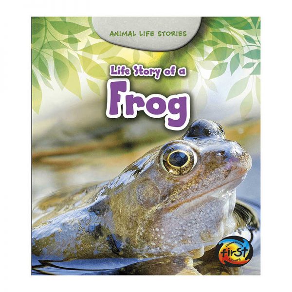 CAPSTONE / COUGHLAN PUB LIFE STORY OF A FROG HE-9781484604946