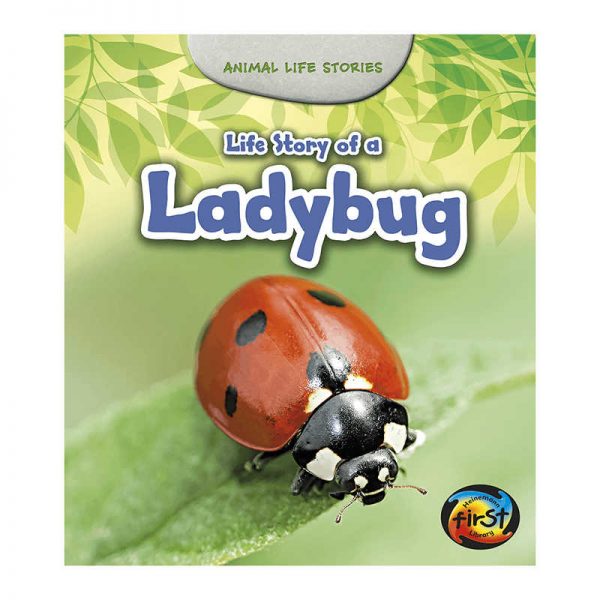 CAPSTONE / COUGHLAN PUB LIFE STORY OF A LADYBUG HE-9781484604939