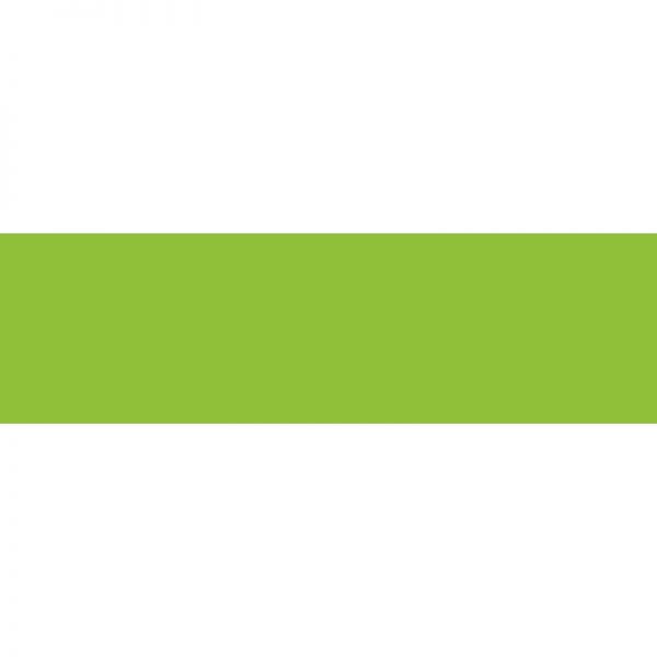 TREND ENTERPRISES INC. LIME BOLDER BORDERS T-85335