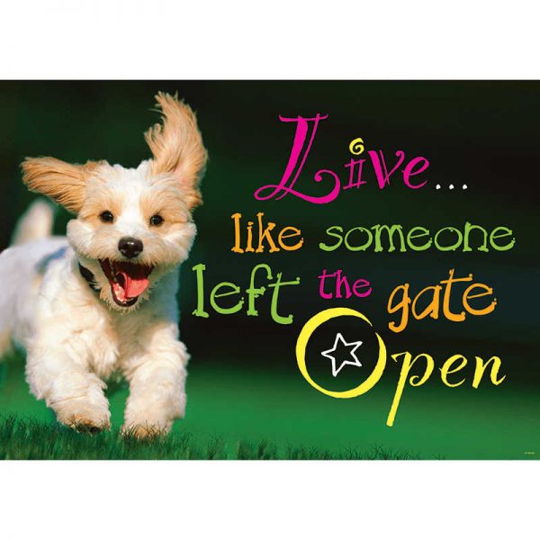TREND ENTERPRISES INC. LIVE LIKE SOMEONE LEFT THE GATE OPEN ARGUS POSTER T-A67042