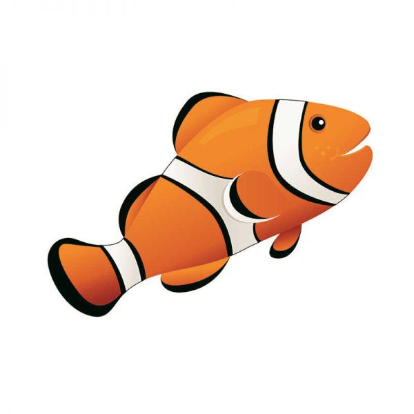 ASHLEY PRODUCTIONS MAGNETIC WHITEBOARD ERASER CLOWN FISH 3-1/2 X 3-1/2 ASH10036