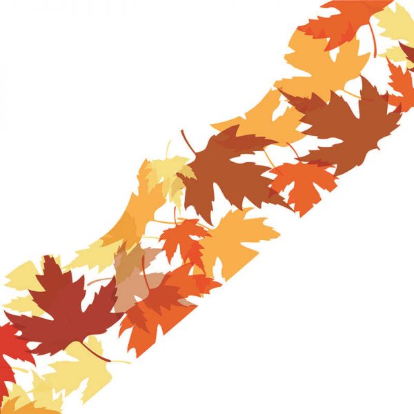 EDUPRESS MAPLE LEAVES SIMPLY BORDER EP-6313