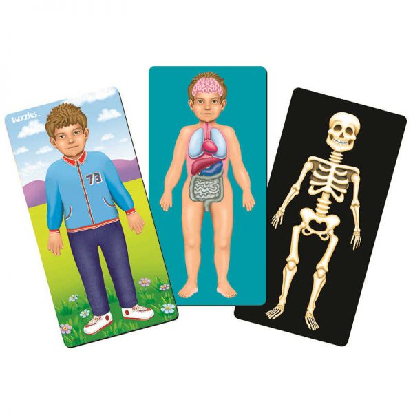 PLATAPILLA USA INC MY BODY LAYERED PUZZLE PPAL3001