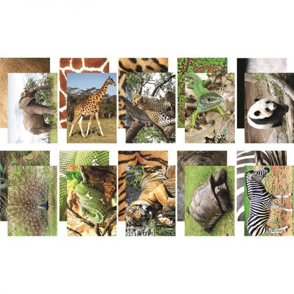 PACON CORPORATION NATURES ATTIRE CREATIVE PAPERS PAC72293