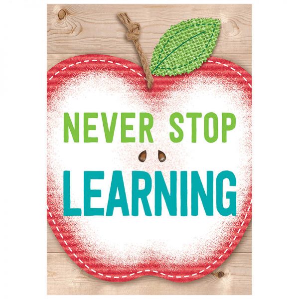 CREATIVE TEACHING PRESS NEVER STOP LEARNING INSPIRE U POSTER CTP7289