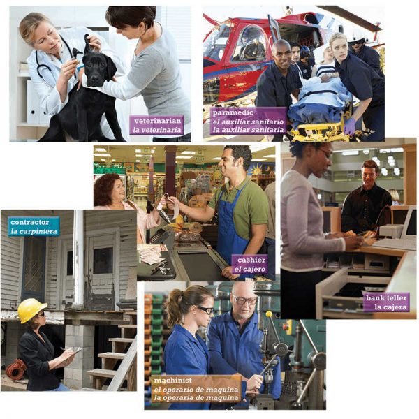 EDUPRESS OCCUPATIONS INSTRUCTIONAL ACCENTS EP-3190