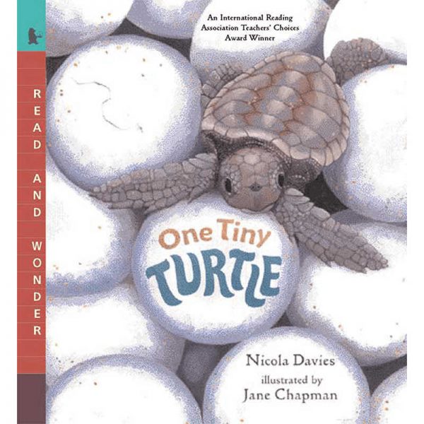 CANDLEWICK PRESS ONE TINY TURTLE CP-9780763623111