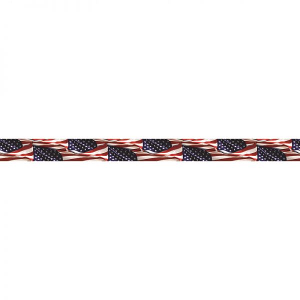 TEACHER CREATED RESOURCES PATRIOTIC PHOTO BORDER EP-3091