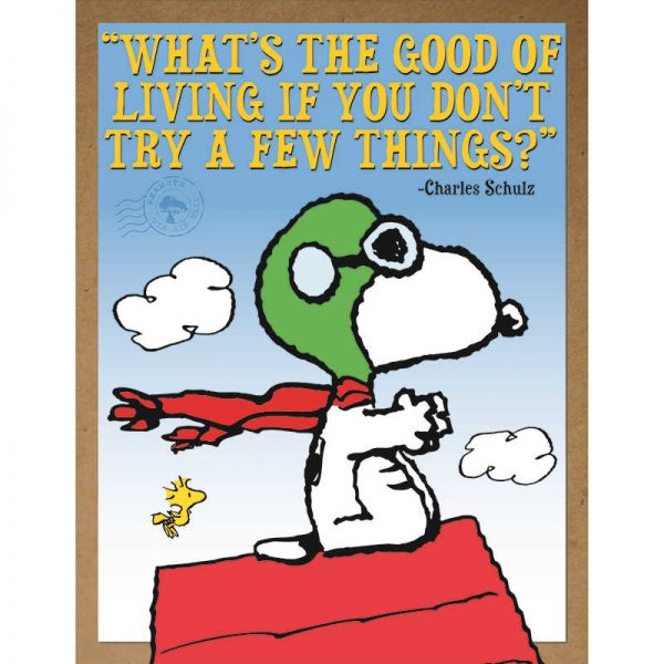 EUREKA PEANUTS FLYING ACE POSTER EU-837245