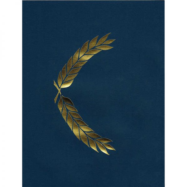 HAYES SCHOOL PUBLISHING PRESENTATION FOLDER BLUE EMBOSSED 5-1/2 X 8-1/2 H-VA325