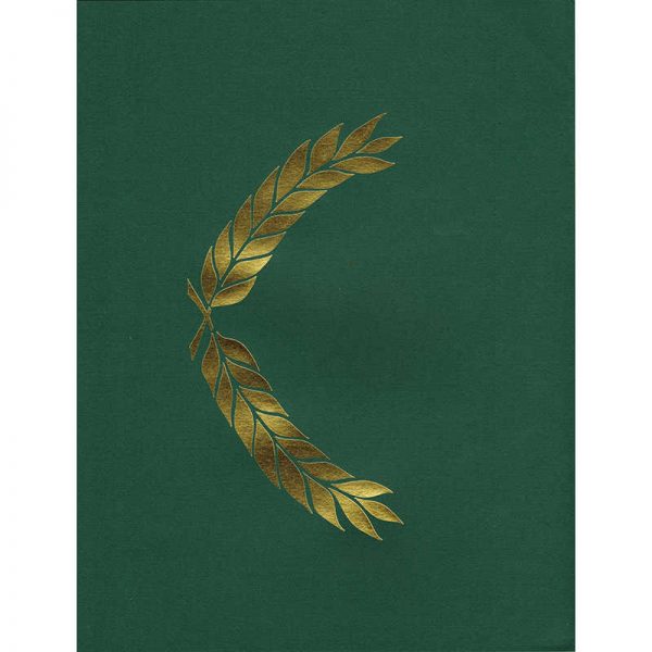 HAYES SCHOOL PUBLISHING PRESENTATION FOLDER GREEN EMBOSSED 5-1/2 X 8-1/2 H-VA327
