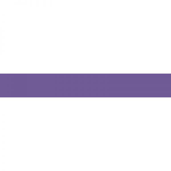 TREND ENTERPRISES INC. PURPLE SOLID BOLDER BORDERS T-85308