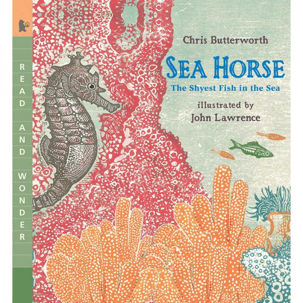 CANDLEWICK PRESS SEA HORSE THE SHYEST FISH IN THE SEA CP-9780763641405