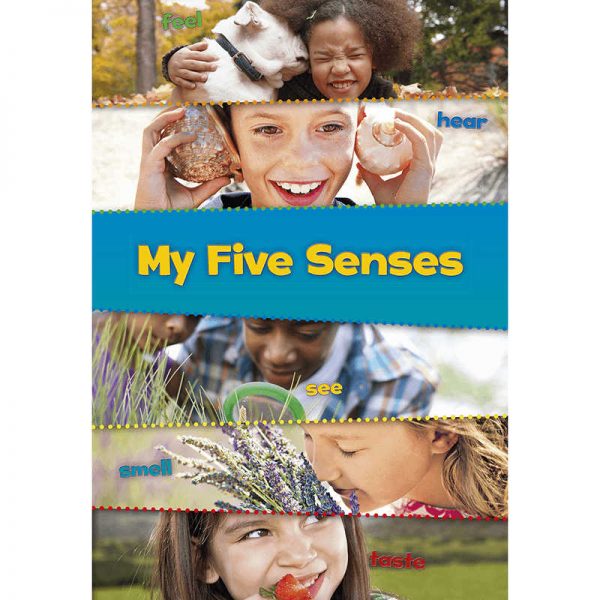 CAPSTONE / COUGHLAN PUB THESE ARE MY SENSES SET OF ALL 5 BOOKS HE-9781484604359