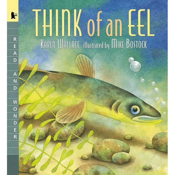 CANDLEWICK PRESS THINK OF AN EEL BIG BOOK CP-9780763624705