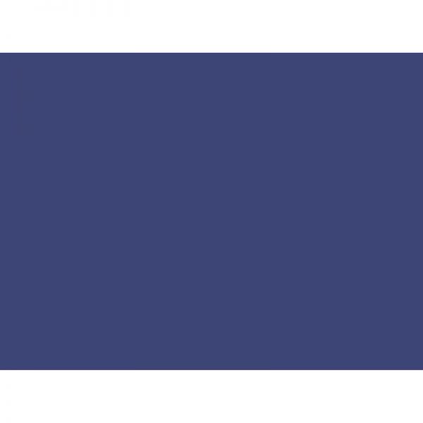 PACON CORPORATION TRU RAY 18X24 ROYAL BLUE 50SHTS CONSTRUCTION PAPER PAC103081