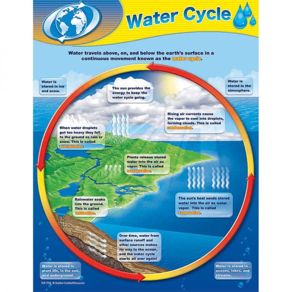 TEACHER CREATED RESOURCES WATER CYCLE CHART TCR7743