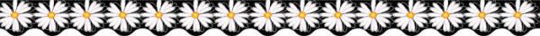 CREATIVE TEACHING PRESS White Daisies Wavy Border CTP1933