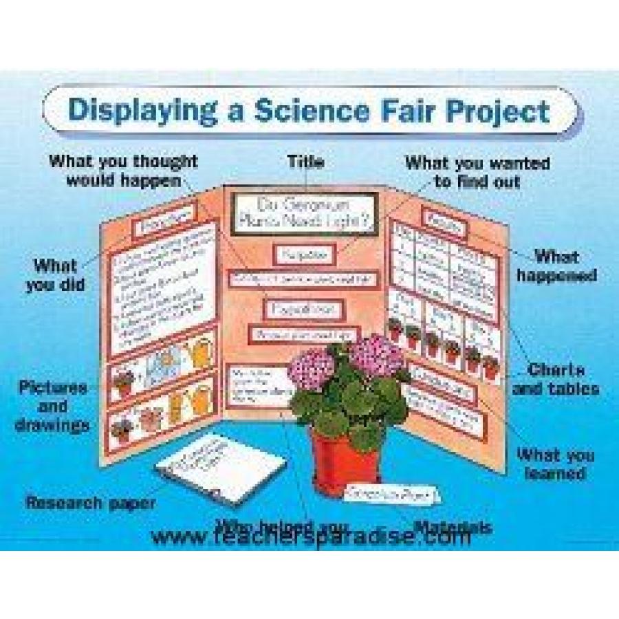 Science Project Chart Paper