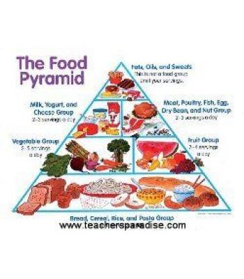 TeachersParadise.com | The Food Pyramid Chart
