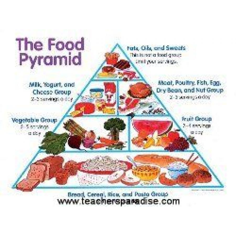 A Food Pyramid Chart