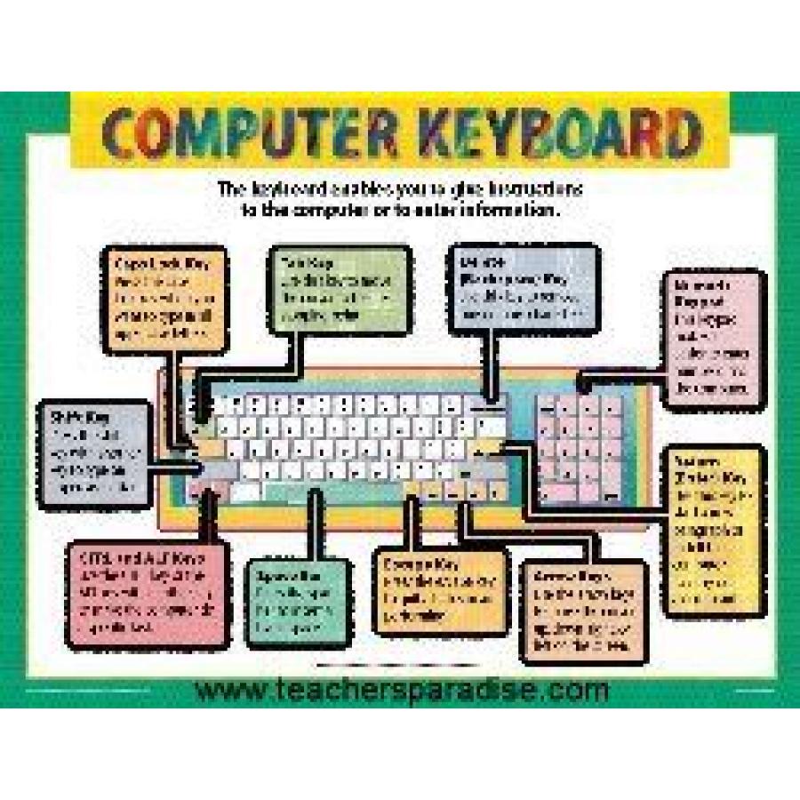 Computer Charts For Lab Decoration