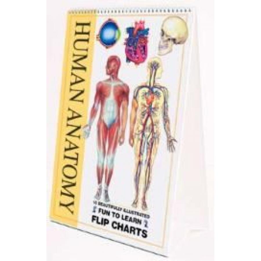 TeachersParadise.com | Flip Charts - Human Anatomy