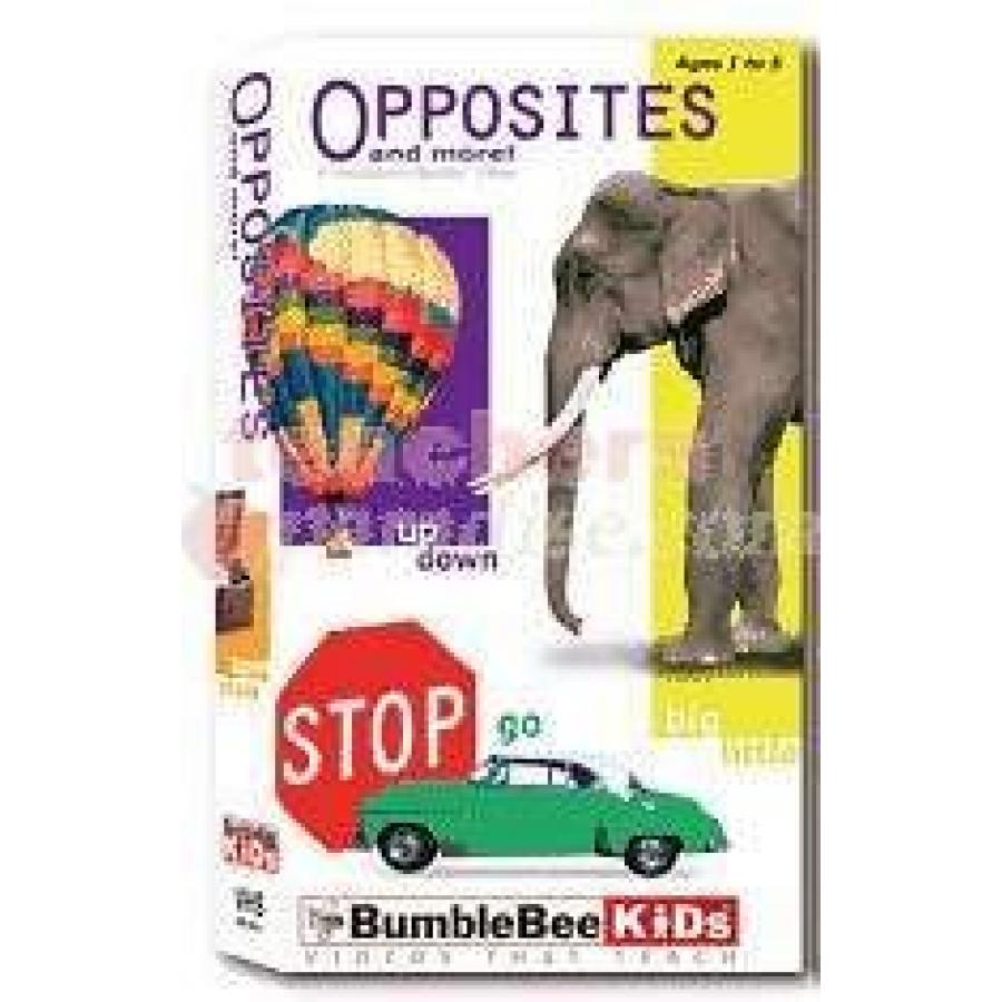 Opposites And More DVD