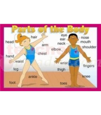 human body floor puzzle