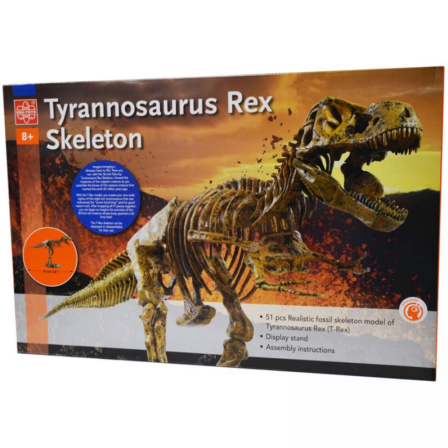 first complete t rex skeleton