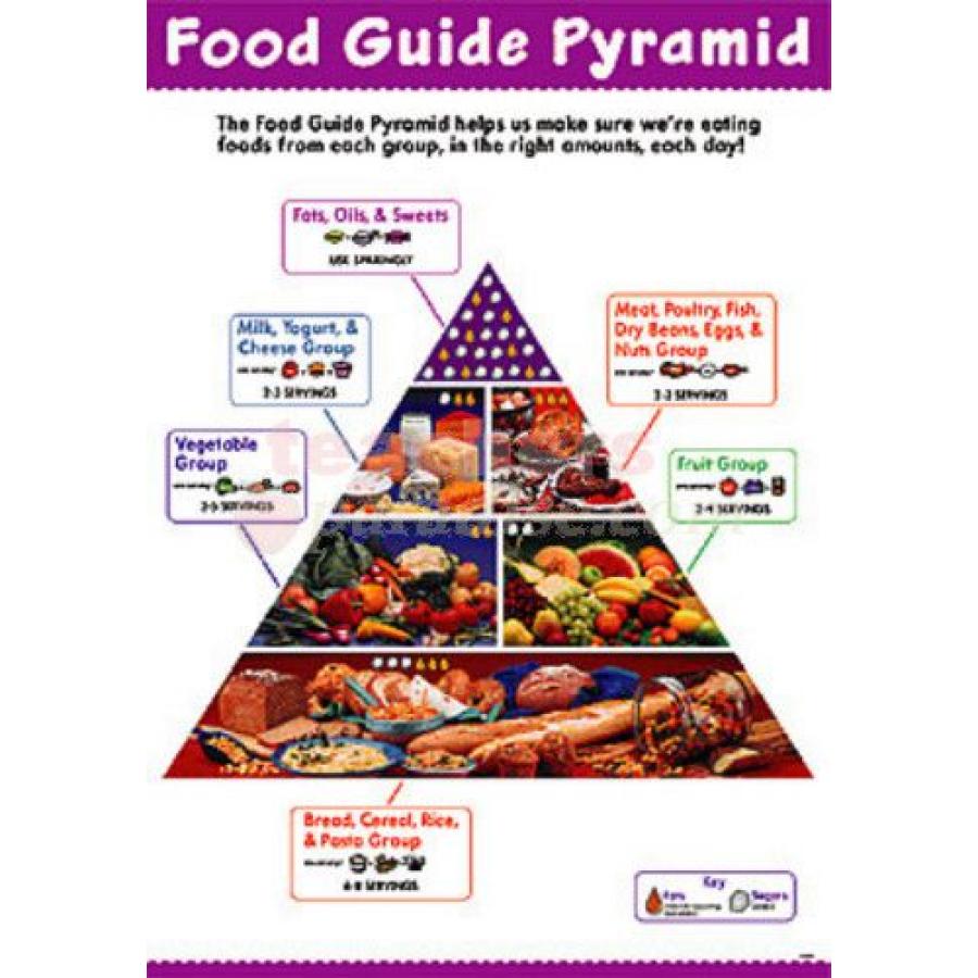 TeachersParadise.com | Chart Food Guide Pyramid (21