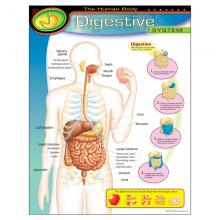 TeachersParadise.com | Chart Digestive System