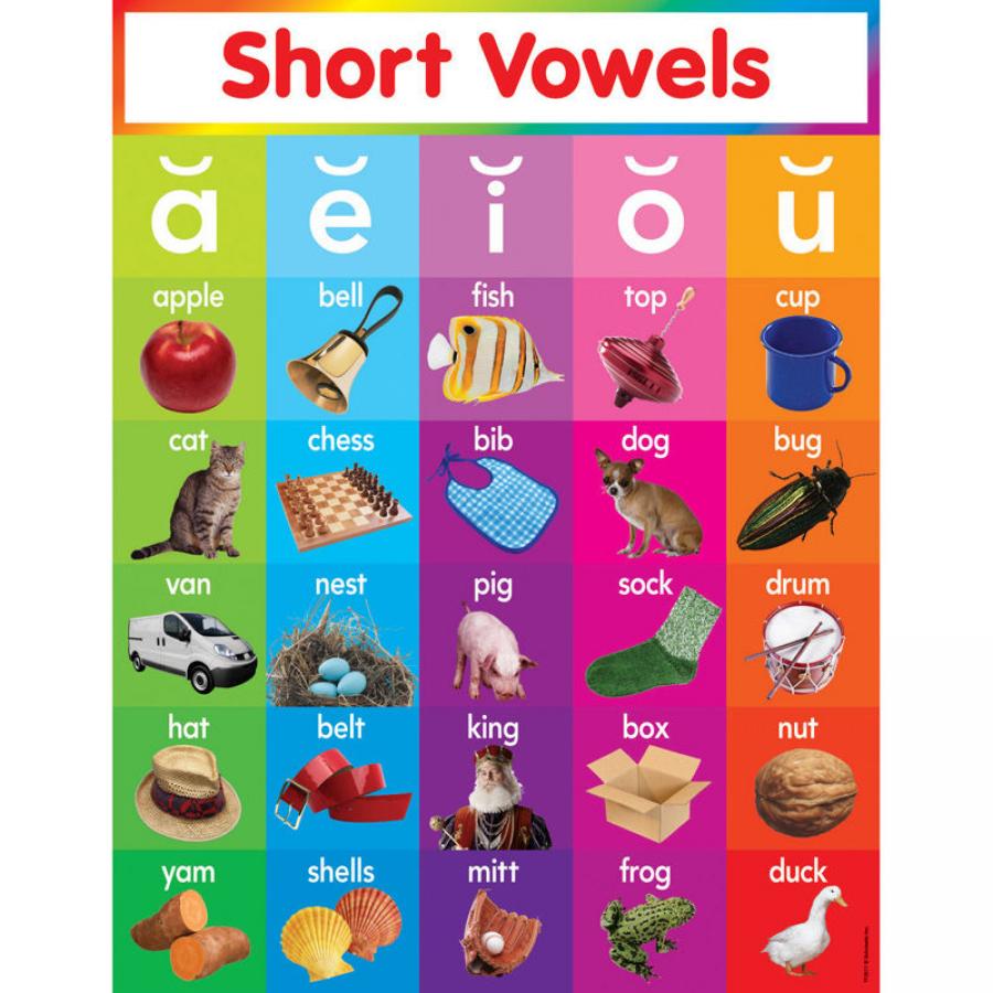 TeachersParadise.com | Short Vowels Chart