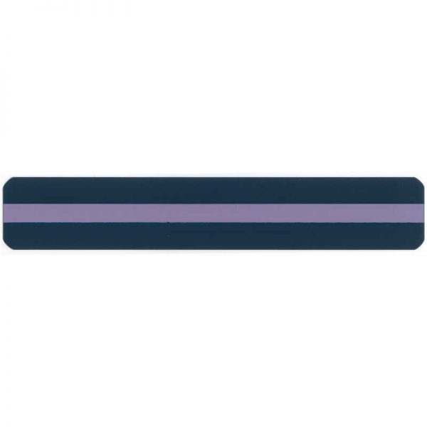 Ashley Productions® Sentence Strip Reading Guide, 1.25" x 7.25", Purple
