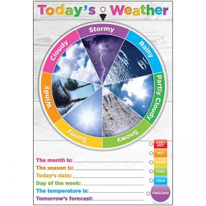 Ashley Productions® Smart Poly™ Weather Smart Wheel w/Grommet, 13" x 19", English