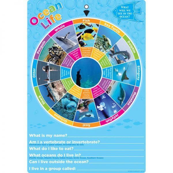 Ashley Productions® Smart Poly® Smart Wheel®, Ocean Animals