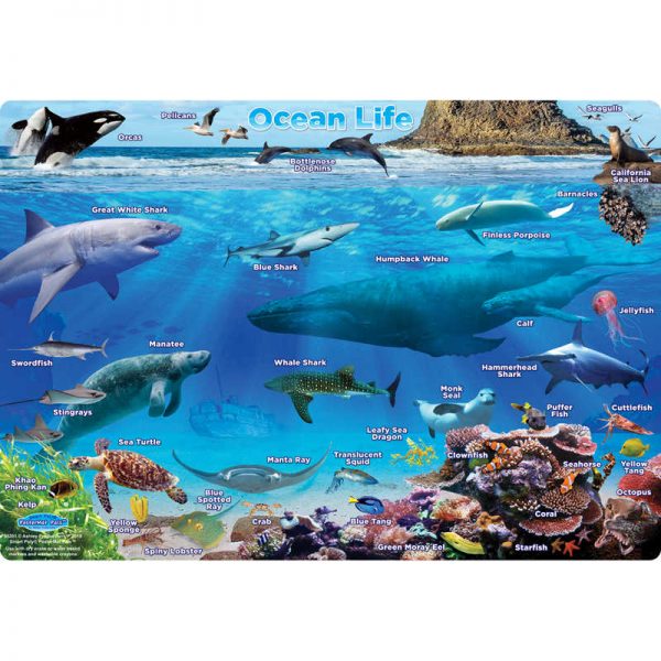 Ashley Productions® Smart Poly® Single Sided PosterMat Pals®, Ocean Life, 12" x 17.25"