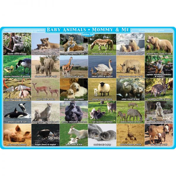 Ashley Productions® Smart Poly® Single Sided PosterMat Pals®, Mommy and Me Animals, 12" x 17.25"