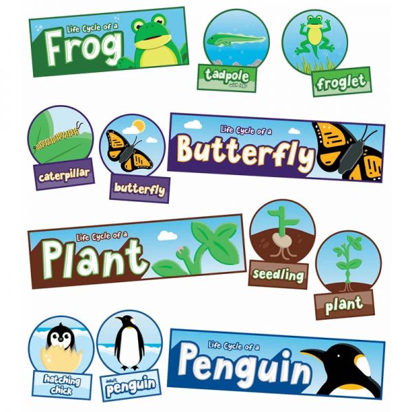 Carson Dellosa Education Life Cycles Bulletin Board Set