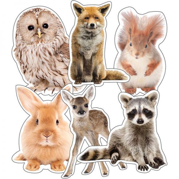 Schoolgirl Style™ Woodland Whimsy Animals Cut-Outs, Pack of 36