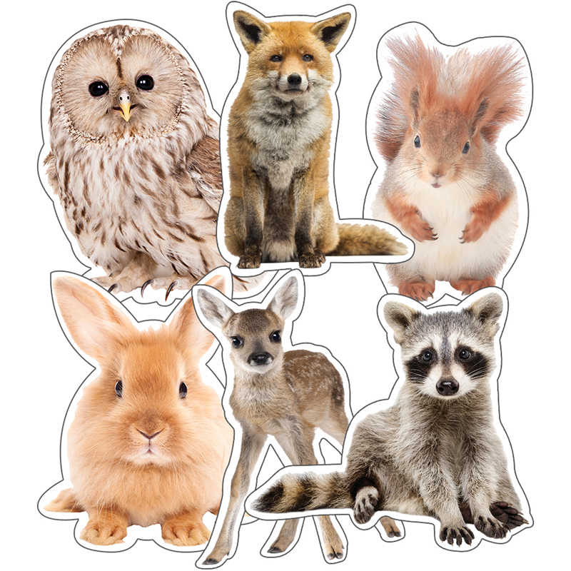 Schoolgirl Style™ Woodland Whimsy Animals Extra Large Cut-Outs, 12 Per Pack, 3 Packs - CD-120567-3 - TeachersParadise Schoolgirl Style™ Woodland Whimsy Animals Extra Large Cut-Outs, 12 Per Pack, 3 Packs - CD-120567-3 - TeachersParadise