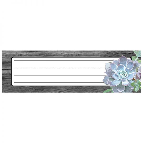 Schoolgirl Style™ Simply Stylish Succulent Nameplates, 9.5" x 2.875", Pack of 36