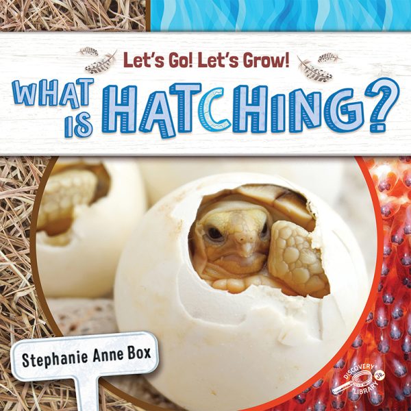 Discovery Library Jr What Is Hatching?