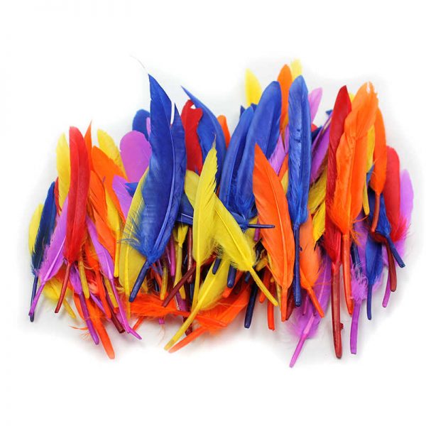 Charles Leonard Creative Arts™ Duck Quills Feathers, 14 Grams