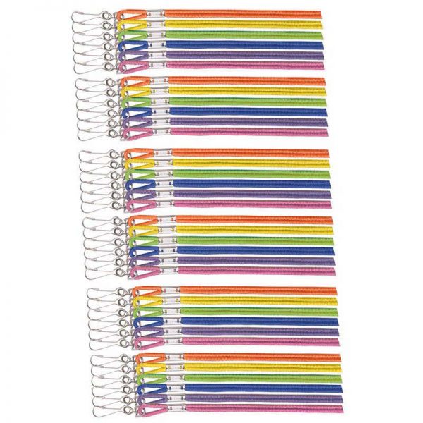 Champion Sports Assorted Neon Nylon Lanyards, 12 Per Pack, 3 Packs